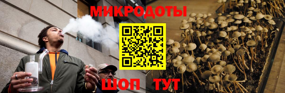 Камышин  Псилоцибиновые грибы мухоморы  Вход с VPN 
