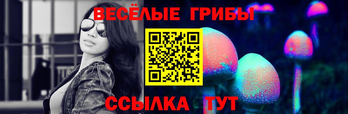 Псилоцибиновые грибы MAGIC MUSHROOMS Камышин